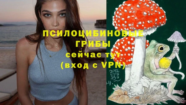 индика Абдулино