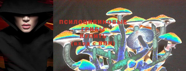 spice Абинск