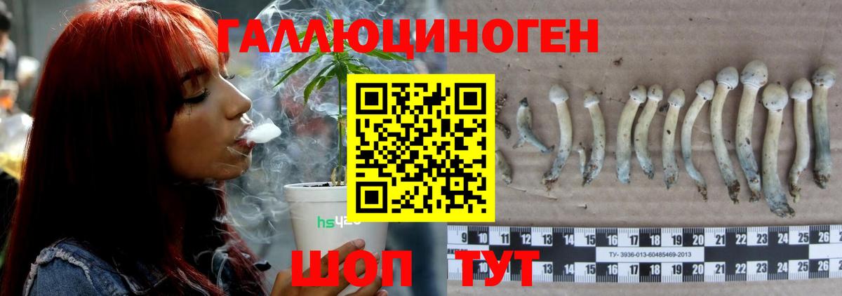 Псилоцибиновые грибы MAGIC MUSHROOMS Отрадный